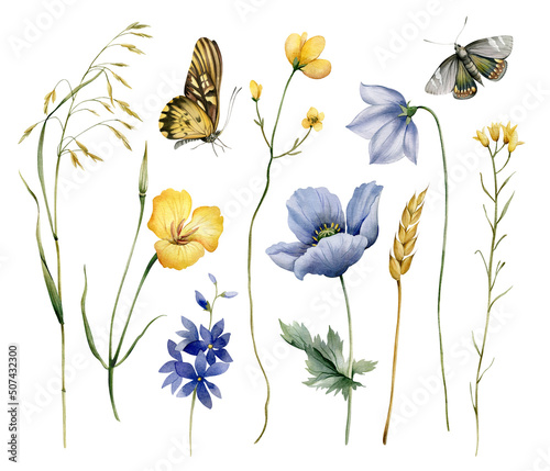 Collection of watercolors with wildflowers, poppies, wheats and butterflies. Illustration with field herbs.