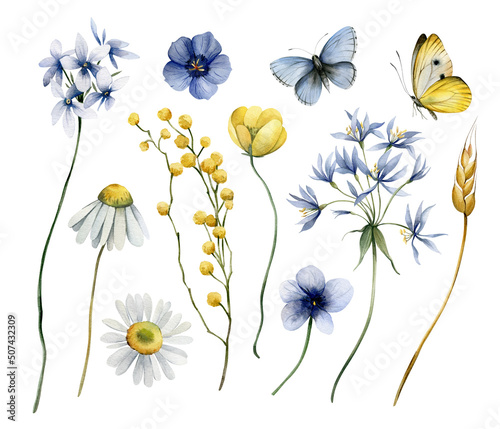 Collection of watercolors with wildflowers and butterflies. Illustration with meadow herbs.
