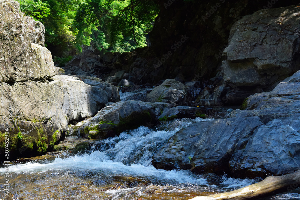 Fairy mountain forest at the river. Fantastic landscape with trees, green leaves, stones and blurred Fairy mountain forest at the river. Fantastic landscape with trees, green leaves, stones and blurred