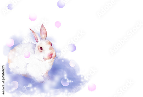雪の中のウサギ　はがきサイズ © 時々雨