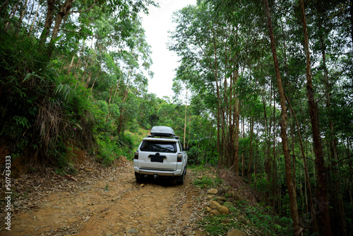 Driving off road car in tropical forest mountains