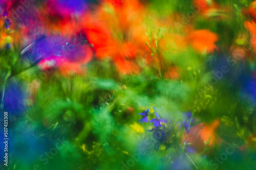 Image of summer bright colored field flowers with blurred lens background