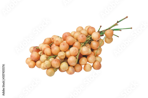 Burmese grape tropical fruit or Baccaurea ramiflora bunch with green stem isolated on white background,clipping path