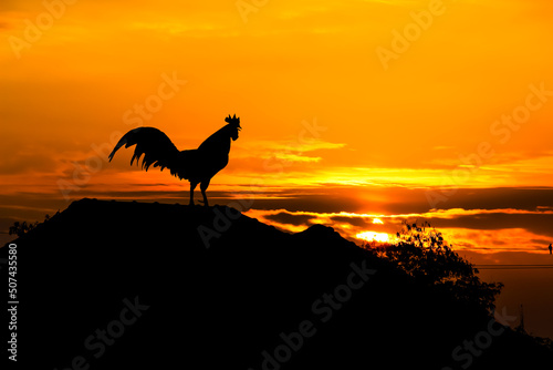Slika na platnu Silhouette rooster crowing on roof home on beautiful sunrise sky background in t