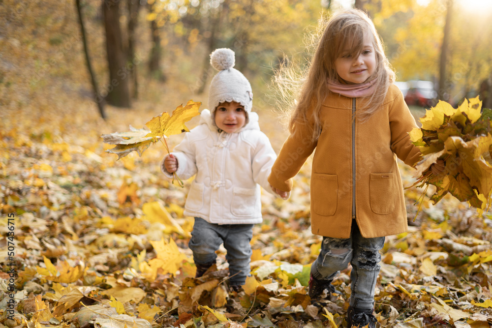 happy little child, baby girl laughing and playing in the autumn on the nature walk outdoors, sisters walk in autumn park or forest with fallen yellow leaves, active childhood happy little child, baby girl laughing and playing in the autumn on the nature walk outdoors, sisters walk in autumn park or forest with fallen yellow leaves, active childhood
