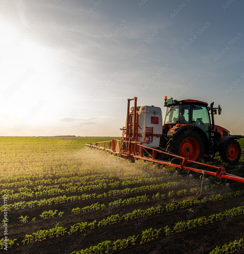 Fototapeta premium Tractor spraying soybean field at spring