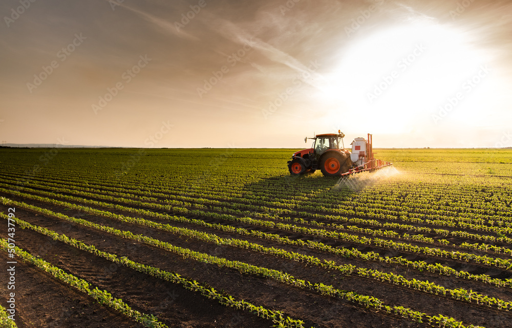Tractor spraying soybean field at spring Tractor spraying soybean field at spring