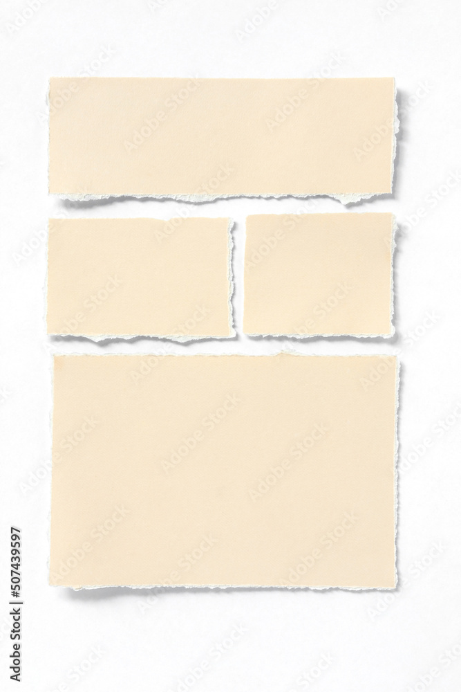 Fototapeta premium Ripped piece of paper isolated on white