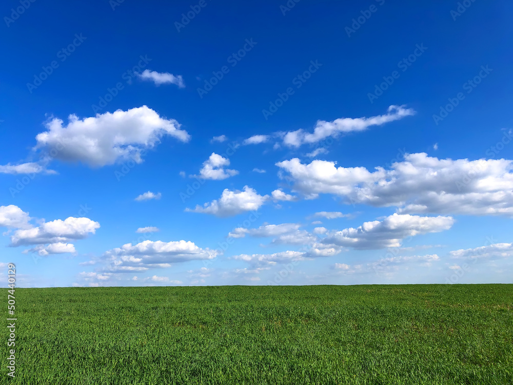 green field and blue sky green field and blue sky