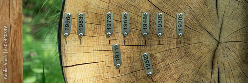 Panoramic image. Tree trunk with annual rings and cracks. Signs with years from 1920 to 1996