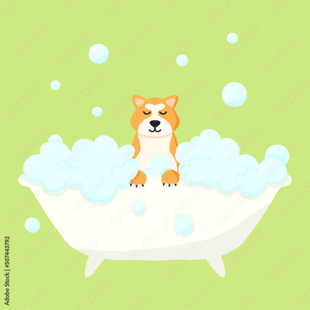 Grooming salon. Banner for grooming salon. Vector illustration in cartoon style. Cute akita in a bubble bath. Pet care. Grooming salon. Banner for grooming salon. Vector illustration in cartoon style. Cute akita in a bubble bath. Pet care.