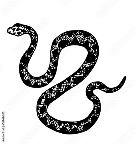 Hand drawing snake. Wildlife snake tattoo vector design isolated. Wild snake sketch, dangerous animal reptile illustration. Patterned snake. for posters, tattoo, clothes, t-shirt design, pins