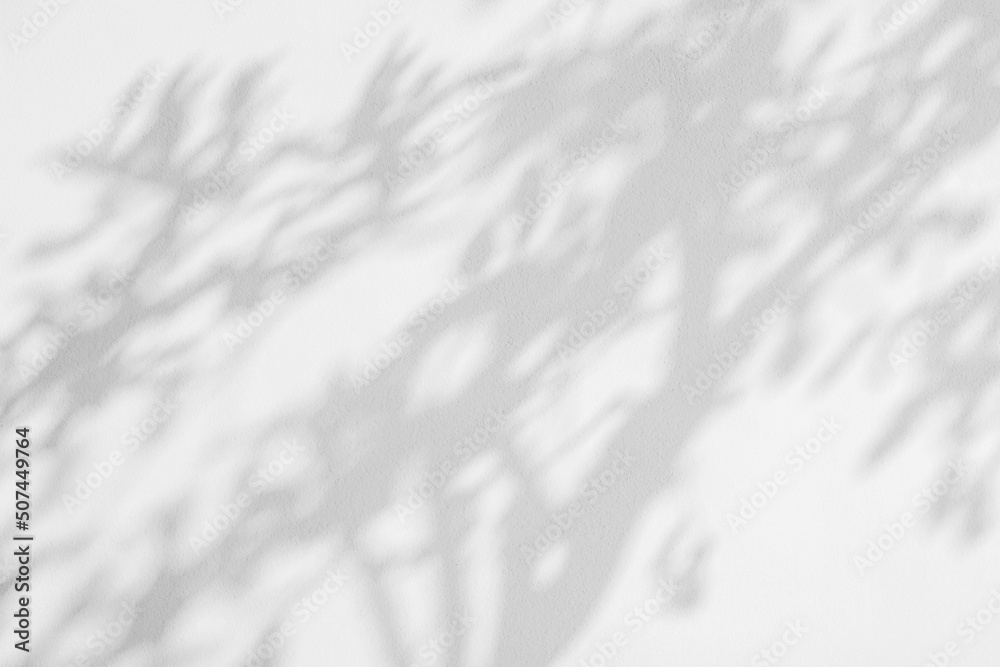 Tree shadow and leaf branch background. Nature leaves tropical jungle tree branch dark shadow and light from sunlight on white wall, shadow overlay effect Tree shadow and leaf branch background. Nature leaves tropical jungle tree branch dark shadow and light from sunlight on white wall, shadow overlay effect