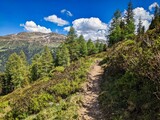 hiking trail in the mountains. Beautiful path through the alps in switzerland. High quality photo. Davos Klosters Swiss