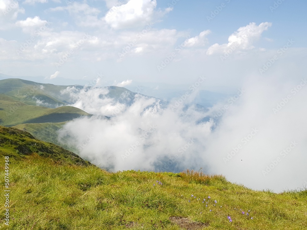 nature animals sky landscape lake people flowers mountains trees clouds grass nature animals sky landscape lake people flowers mountains trees clouds grass