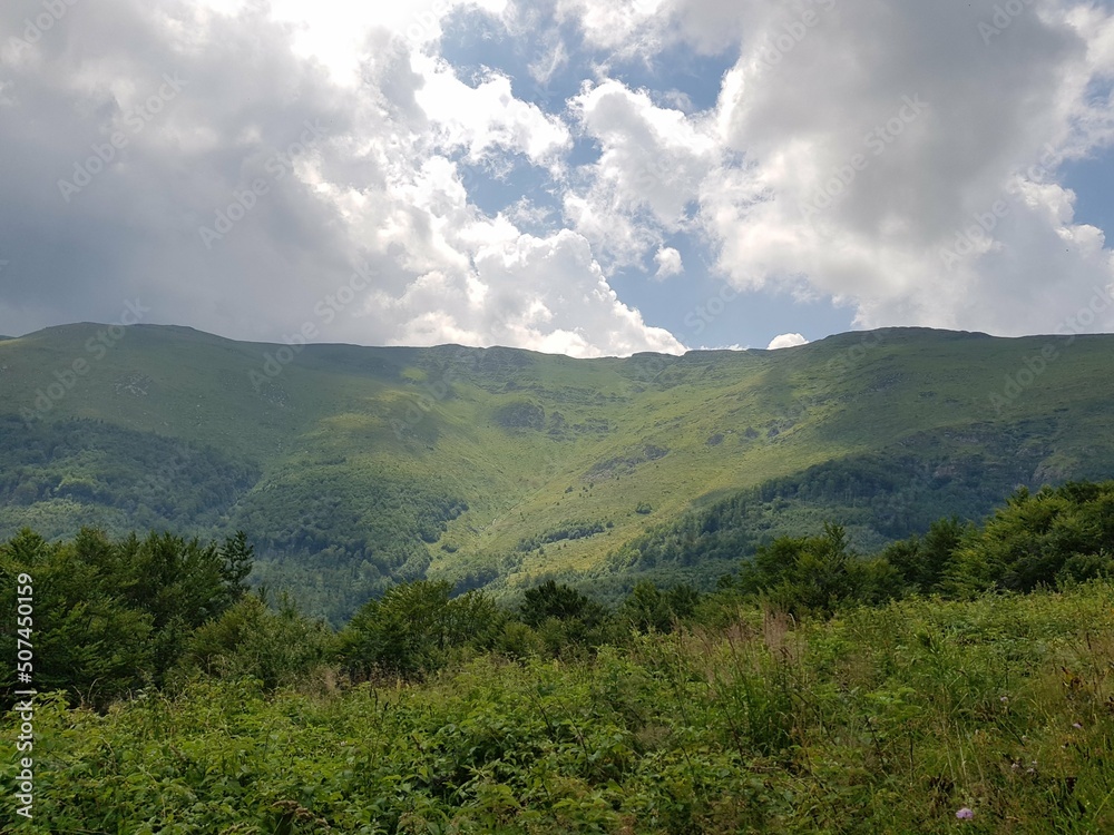 nature animals sky landscape lake people flowers mountains trees clouds grass nature animals sky landscape lake people flowers mountains trees clouds grass