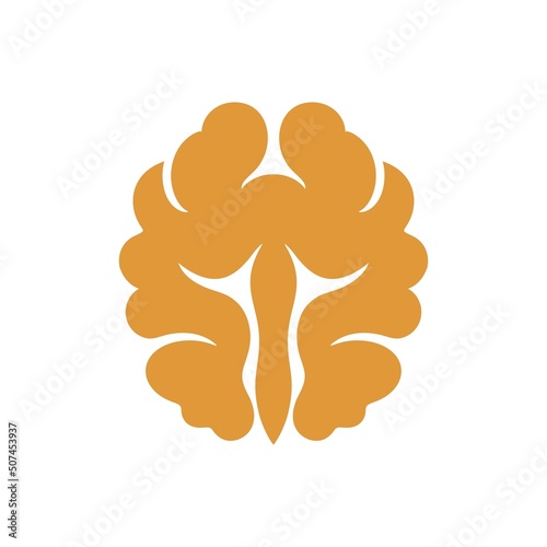 Walnut logo. Isolated walnut on white background