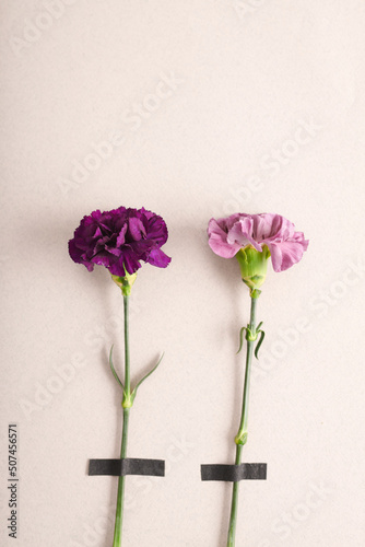 Contemporary composition of two fresh pink and purple flowers with pieces of black tape on white background, copy space