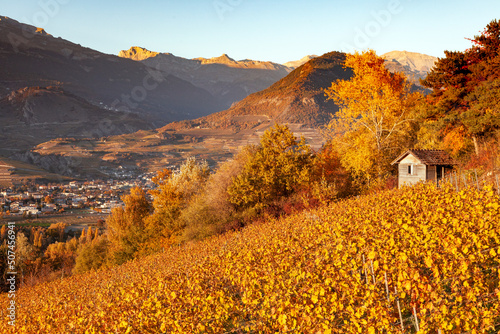 autumn landscape in the swiss mountains