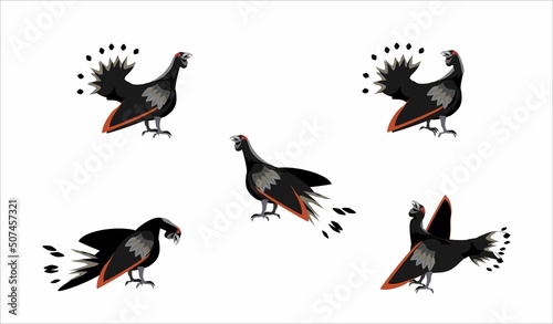 capercaillies birds vector set isolated on white background