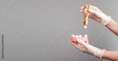 Tableau sur toile Banner with dentist hands pulling tooth with forceps out of jaw model