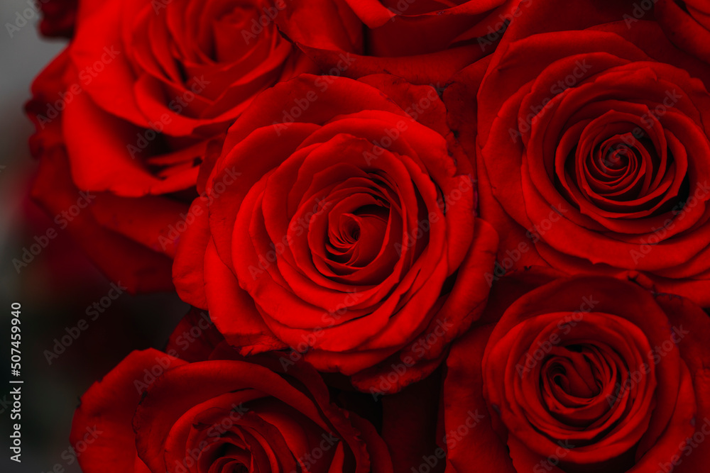 bunch of roses