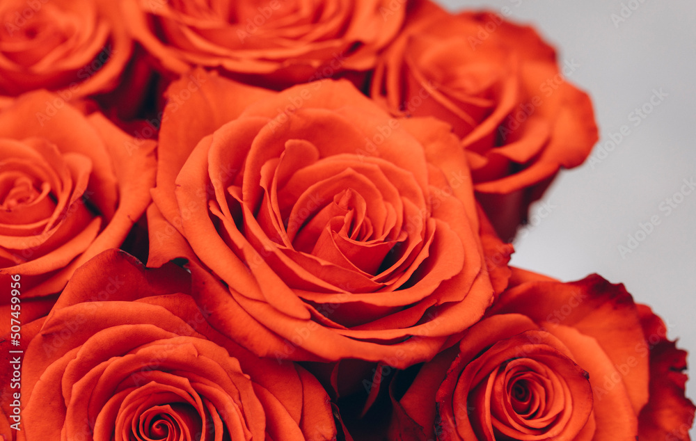 bouquet of roses. Mother day. Rose flowers. Gift. Happy day