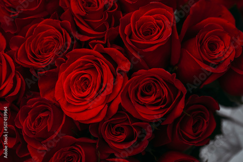 bouquet of red roses. Flowers. Card. Decoration. 