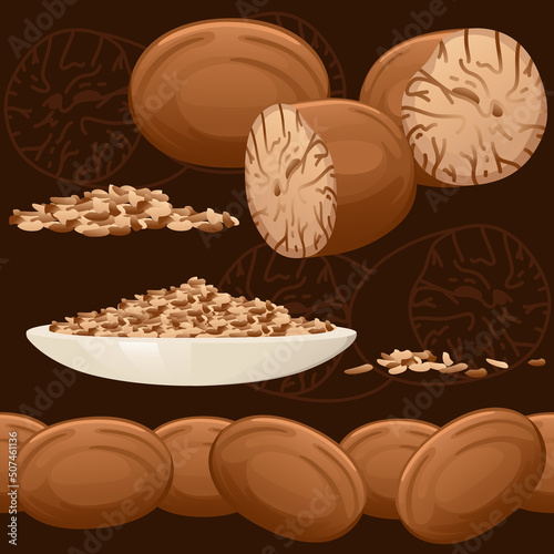 Seamless pattern of Fragrant nutmeg seasoning with whole and milled vector illustration
