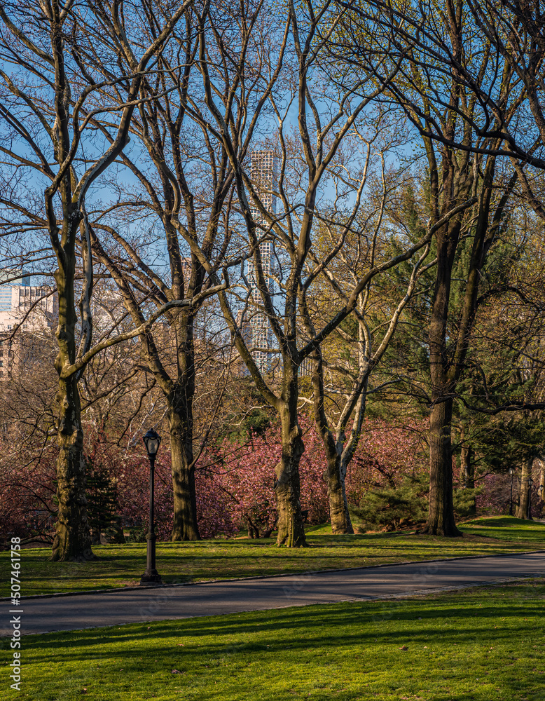 Central Park in spring