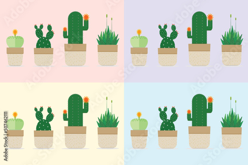 Cactus or Succulent plants collection with flower blooming in potted minimal style, Object on pattern background, Desert ornamental planting for home decoration and Hobbies, Set of cute shaped cactus.
