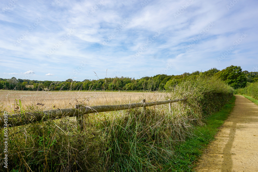 Fototapeta premium countryside landscape with wooden fence and crop field. Rural pathway alongside farmland in England UK. 