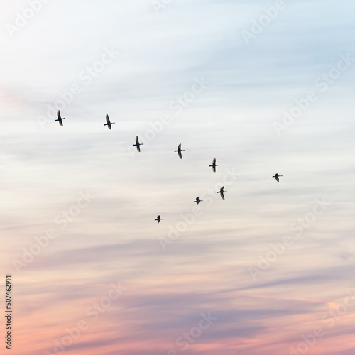 sunset background. sky with soft and blur pastel colored clouds. gradient cloud on the beach resort. nature. sunrise.  peaceful morning. Instagram toned style