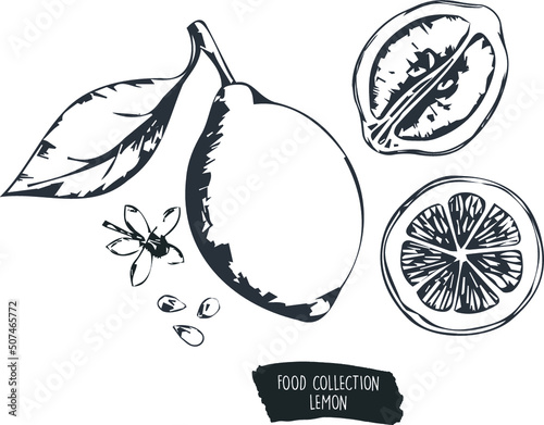 set of fruits lemon 