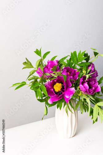 Paeonia suffruticosa in a white vase against a white wall, part of a home interior, house decoration with flowers Japanese Tree Peony, cozy spring May background
