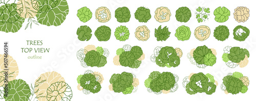 Set of vector trees. Entourage design for the plan. Various trees, bushes, and shrubs, top view for the landscape design plan. Vector illustration.