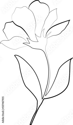 Vector Hand Drawn Line Art Drawing of Flower. Minimalist Trendy Contemporary Floral Design Perfect for Wall Art, Prints, Social Media, Posters, Invitations, Branding Design.