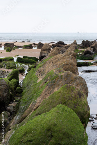 barrika beach on the basque coast in spring with the green rocks photo