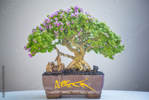 Wallpaper Mural Mini bonsai tree in the flowerpot on bonsai stand a natural background Torontodigital.ca