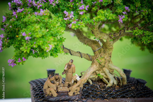 Mini bonsai tree in the flowerpot on bonsai stand a natural background photo