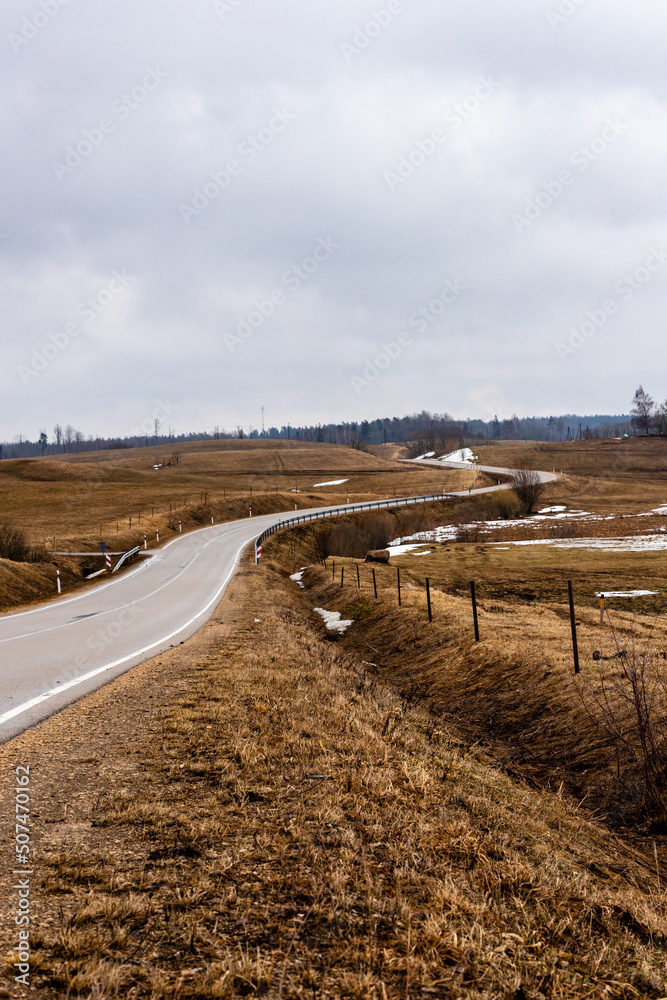 Fototapeta premium Vertical photo of wavy tarmac road framed with brown meadows at early spring. Vintage countryside small drive curves as snake at foggy grey day. Gray asphalt path near Ergli, Latvia in rainy day. 