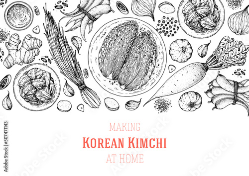 Kimchi cooking and ingredients for kimchi, sketch illustration. Korean cuisine frame. Healthy food, design elements. Hand drawn, package design. Asian food