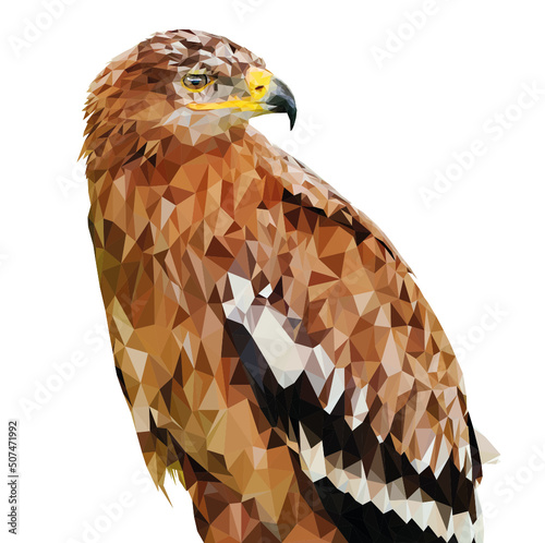 Adler Vogel Lowpoly Artwork transparent freigestellt