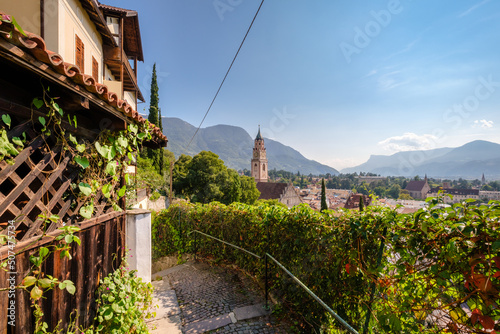 Tappeiner Promenade, a trail in Merano (Souty Tyrol, Italy) offers Alpine and Mediterranean vegitation and great views on the town and the Adige Valley. It was donated by doctor Franz Tappeiner. photo