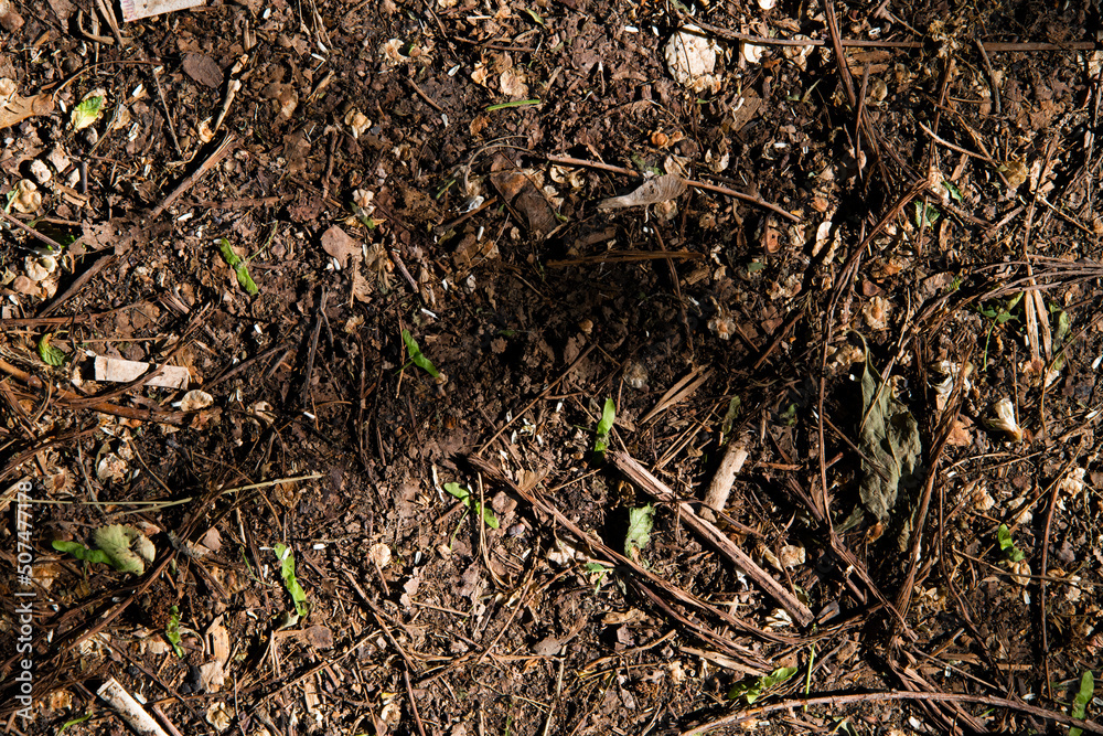 Soil in the ground. Brown ground texture. Soil in the ground. Brown ground texture.