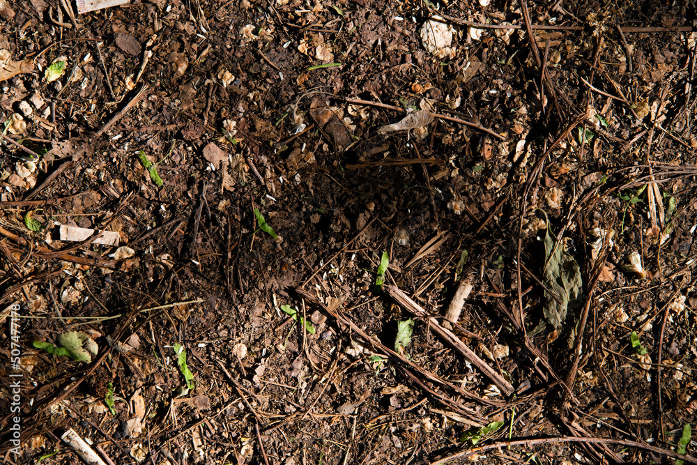 Soil in the ground. Brown ground texture.	