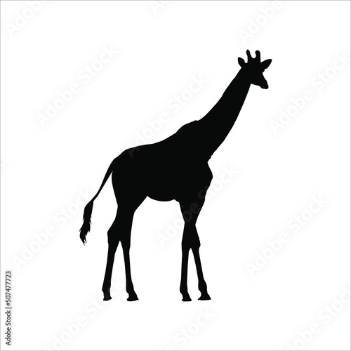 Giraffe Silhouette for Logo or Graphic Design Element. Vector Illustration