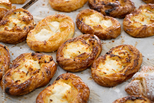 Tasty just baked buns with cottage cheese on the bakery counter