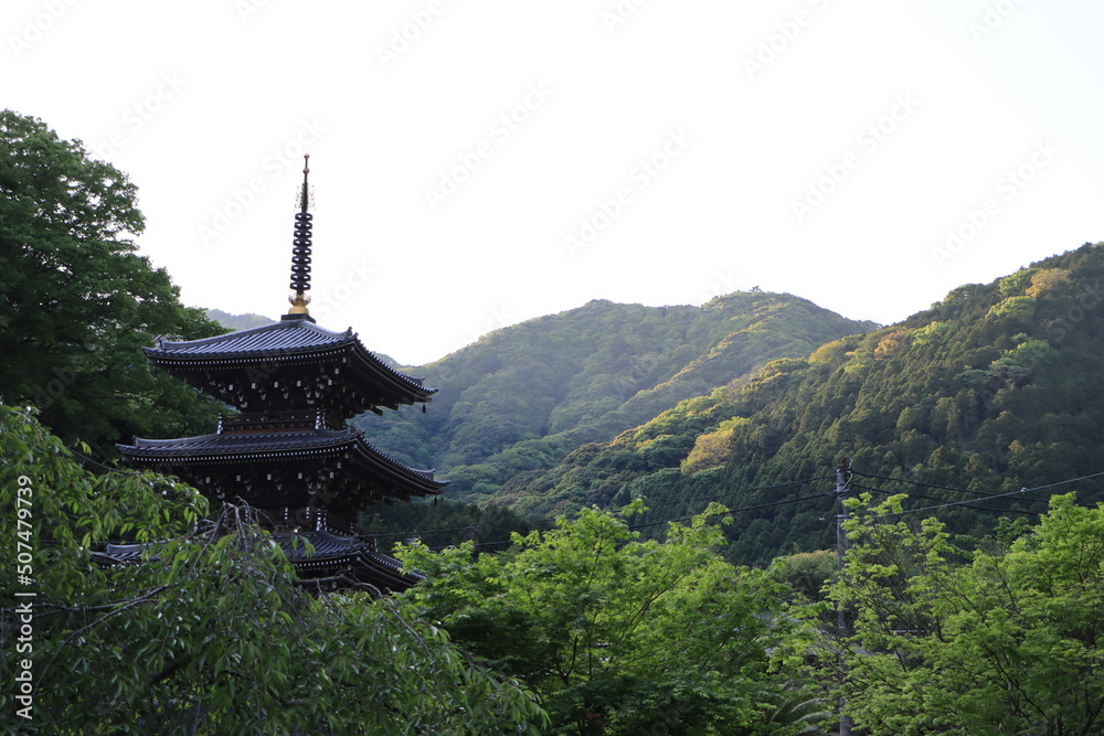 Obraz premium 緑の木々に囲める浄発願寺にある三重塔