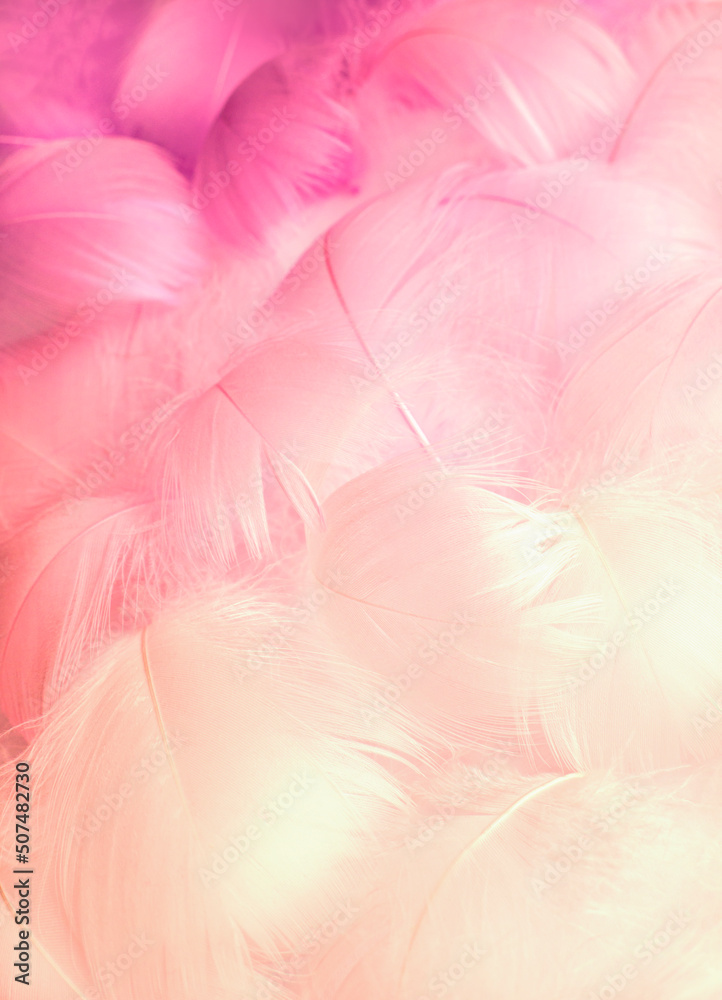 Abstract blurred background of feathers. Pink fluffy bird feathers. Beautiful fog. The texture of delicate feathers
